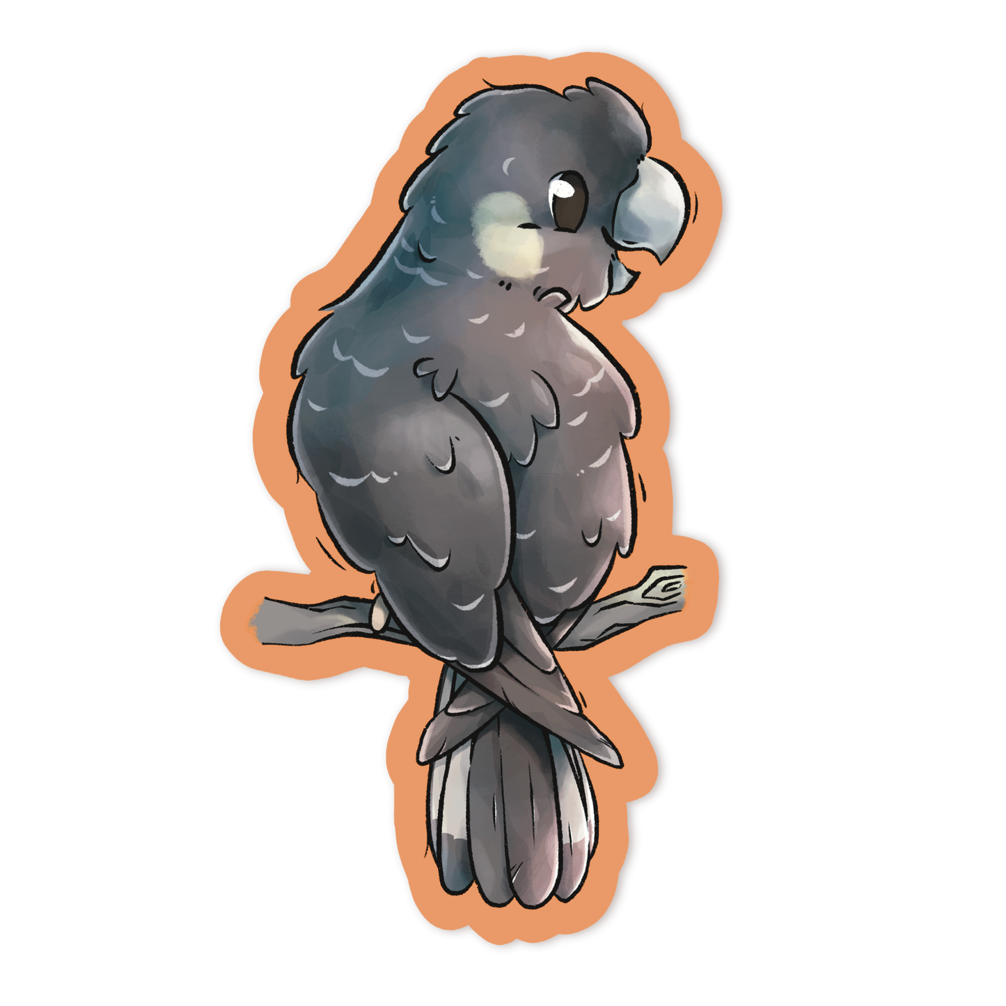 CARNABY'S COCKATOO - FEMALE