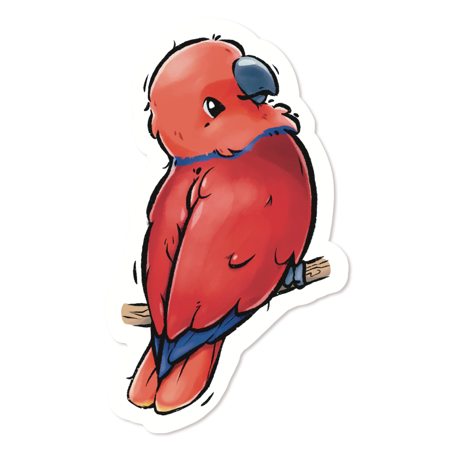 ECLECTUS - FEMALE