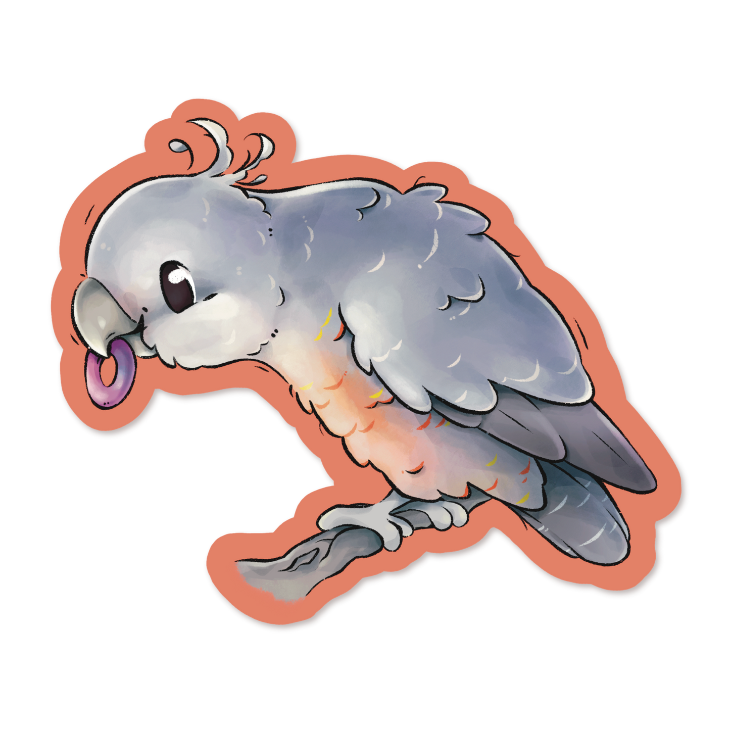 GANG-GANG COCKATOO - FEMALE