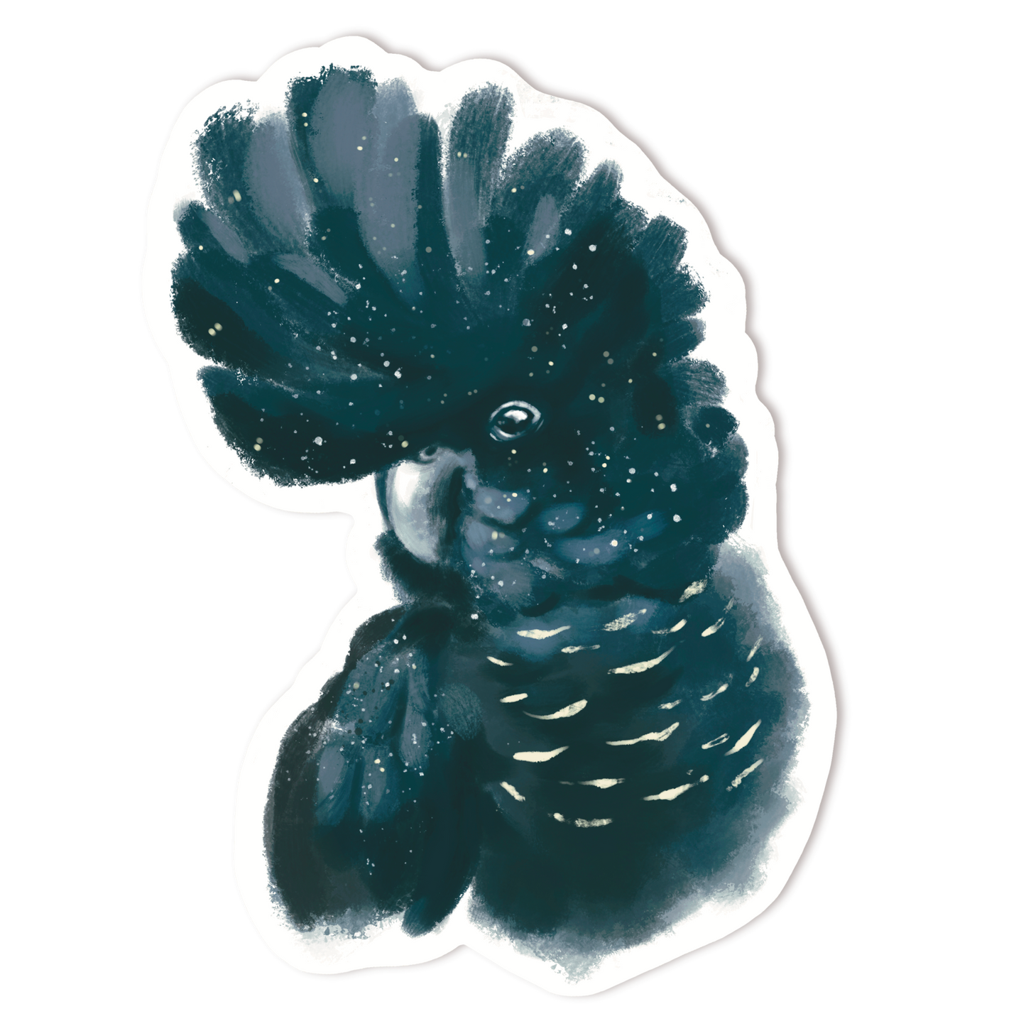 RED TAILED BLACK COCKATOO