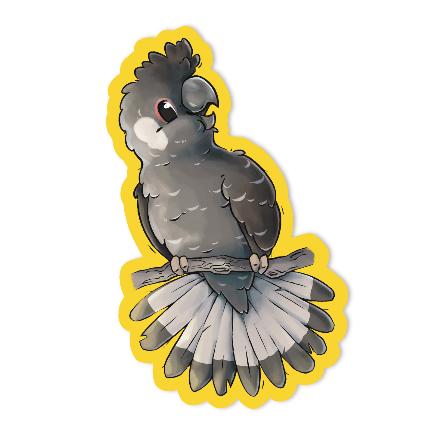 CARNABY'S COCKATOO - MALE