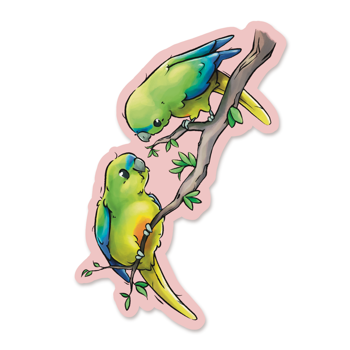 ORANGE-BELLIED PARROT