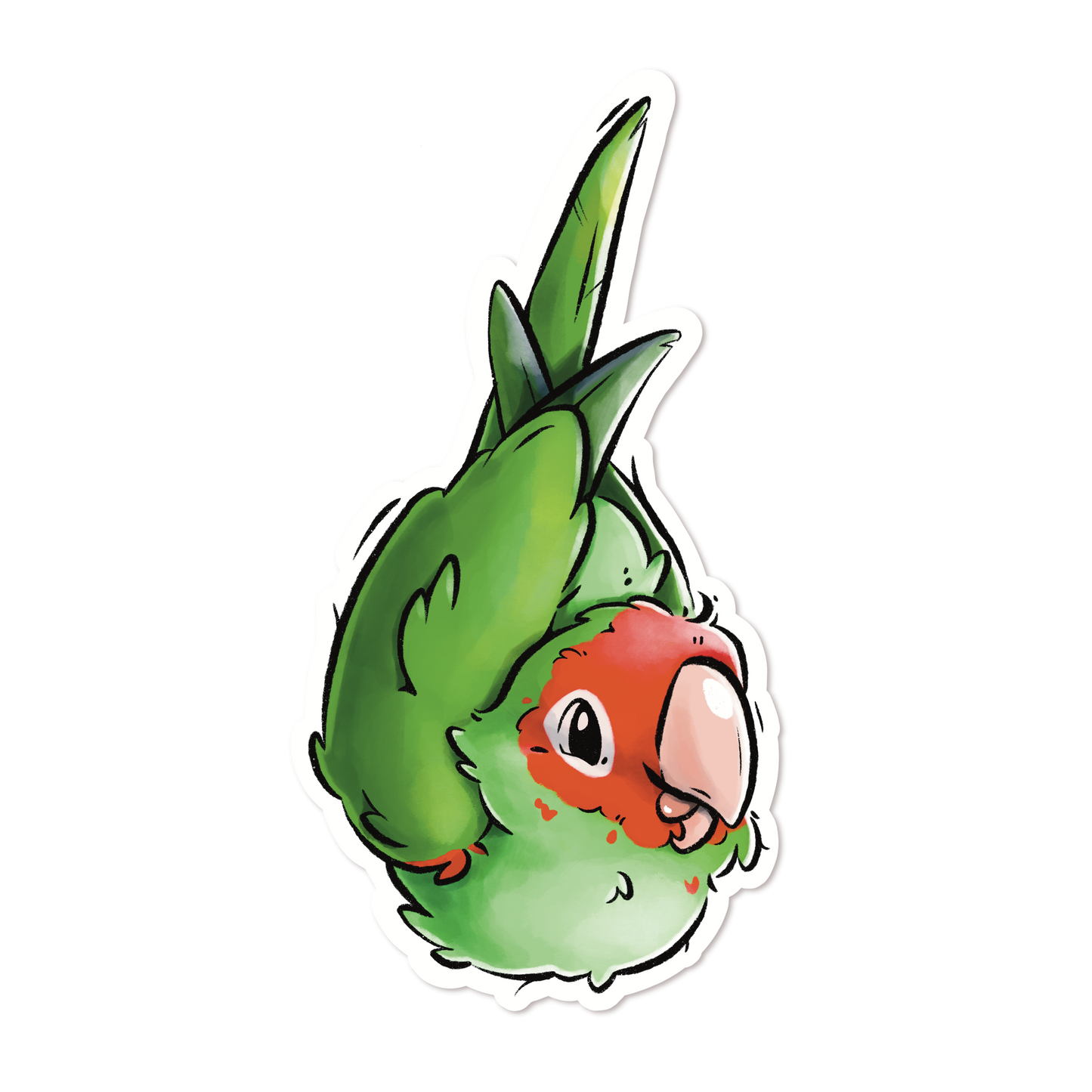 RIPE FOR THE PICKING - CHERRY HEADED CONURE