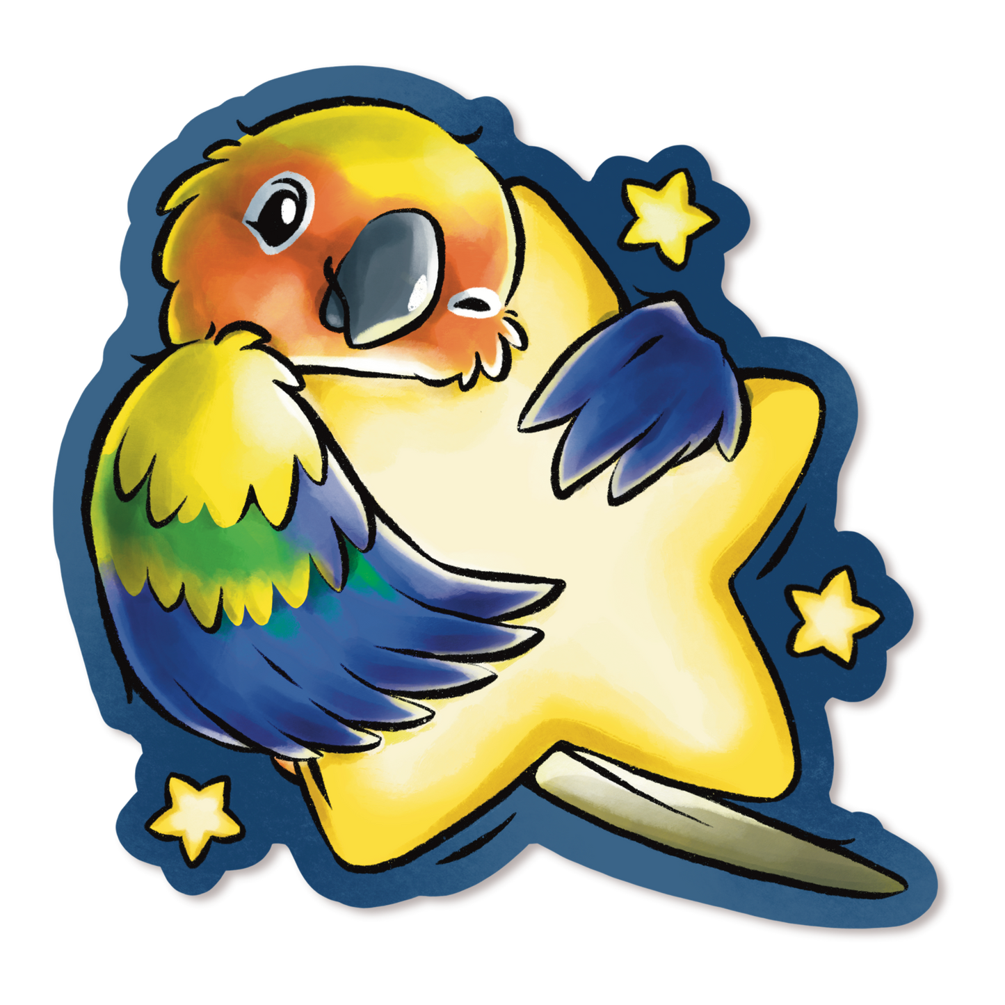 HUG A STAR SUN CONURE