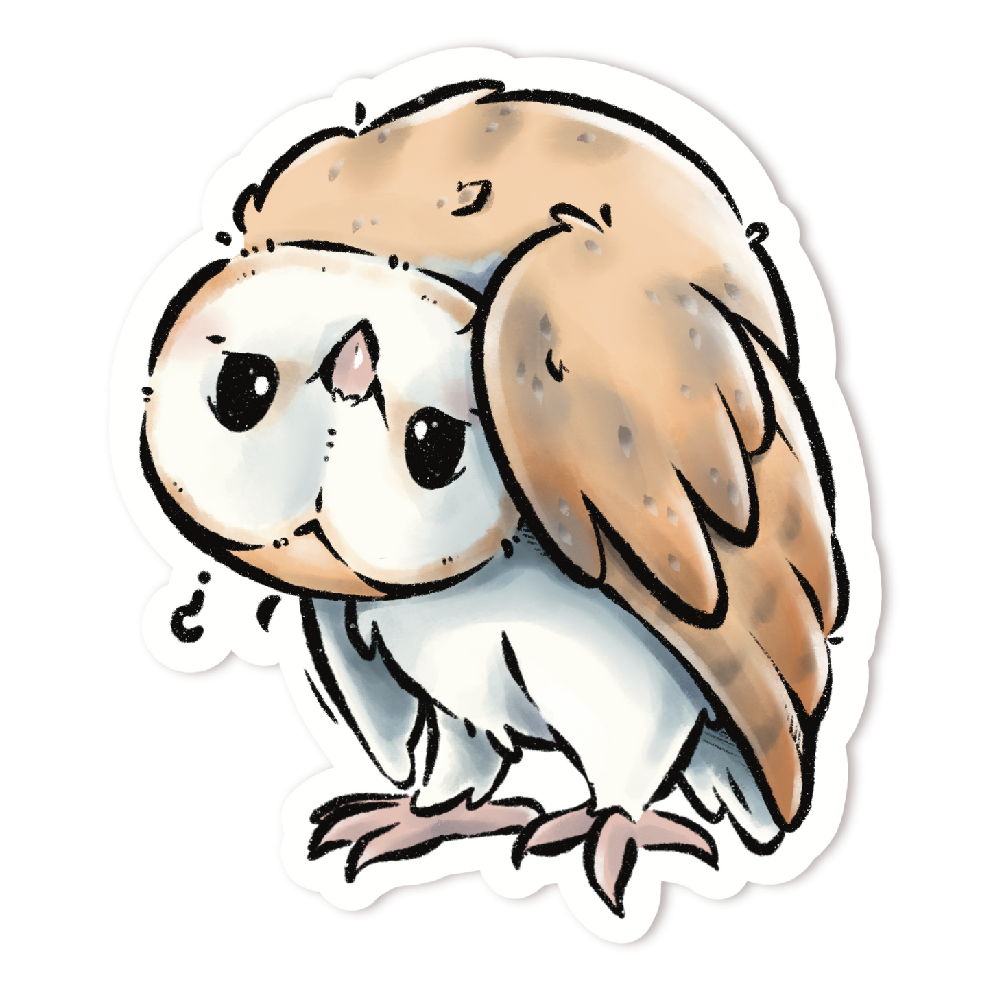 BARN OWL