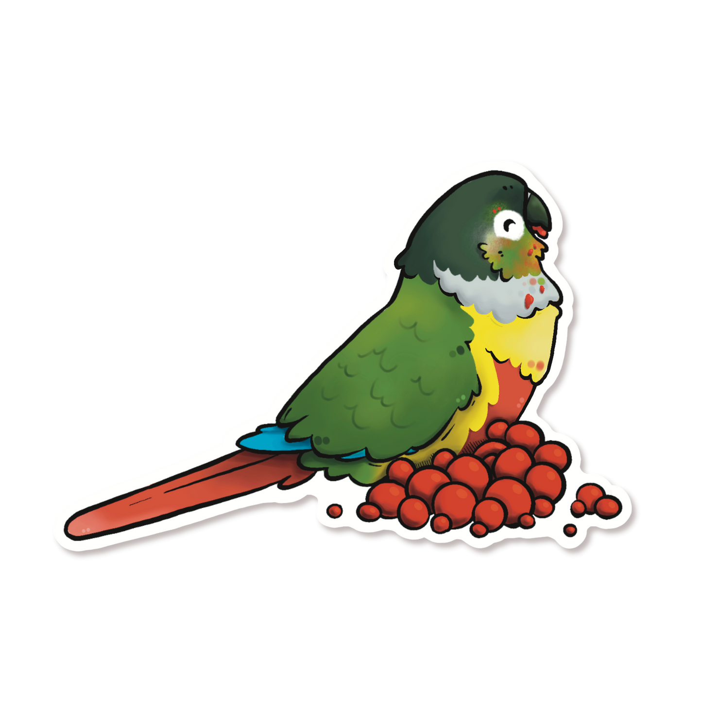 YELLOW SIDED GREEN CHEEKED CONURE