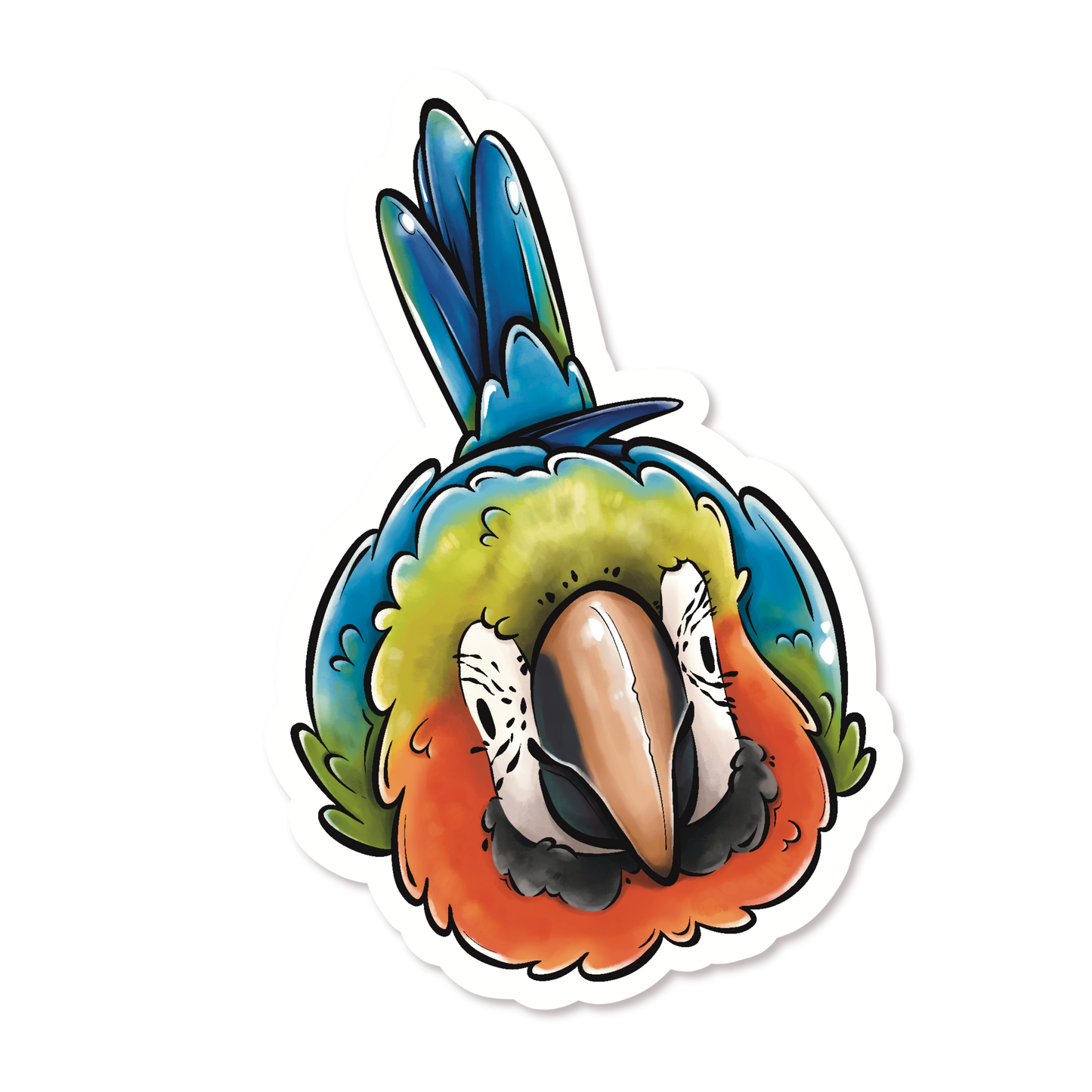 BABY HARLEQUIN MACAW