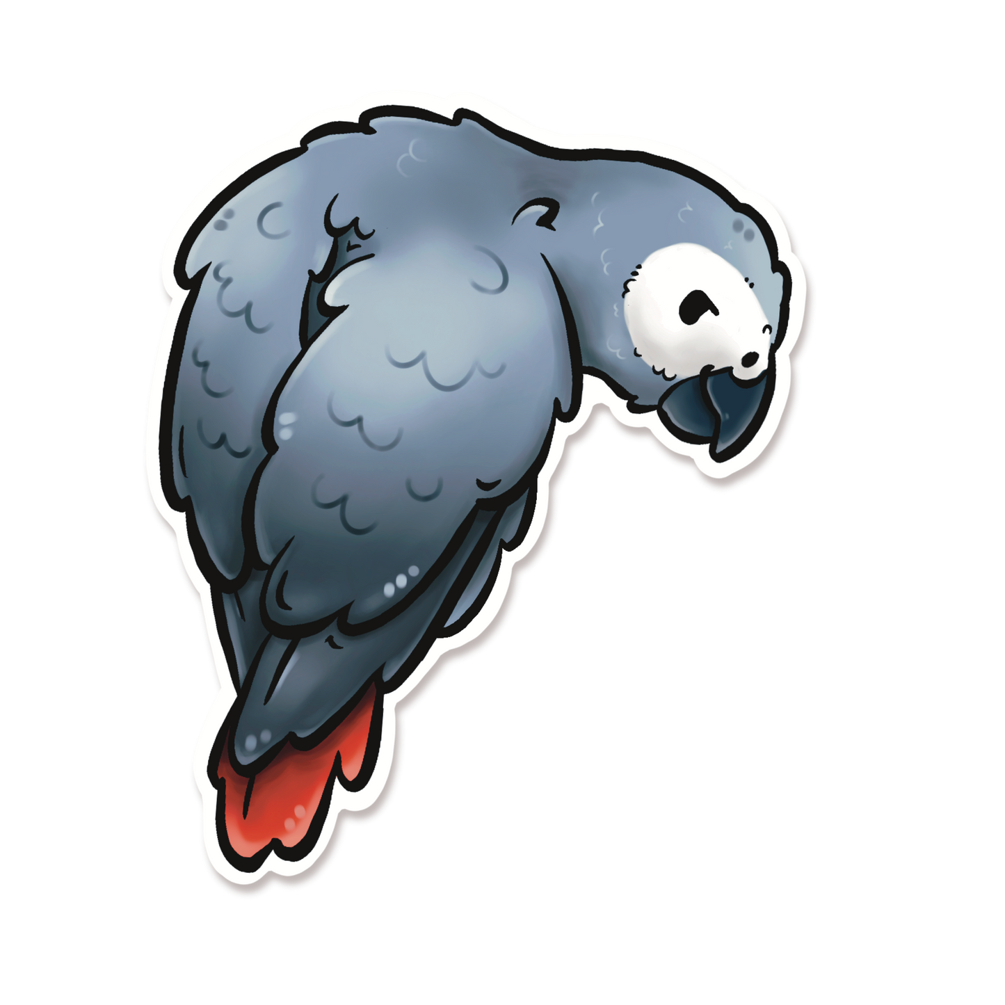 AFRICAN GREY
