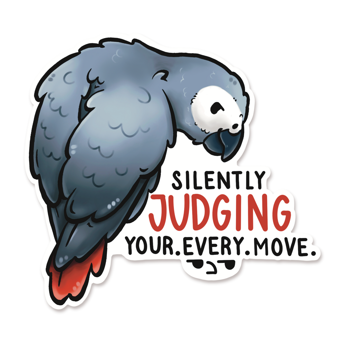 SILENTYLY JUDGING YOUR EVERY MOVE AFRICAN GREY