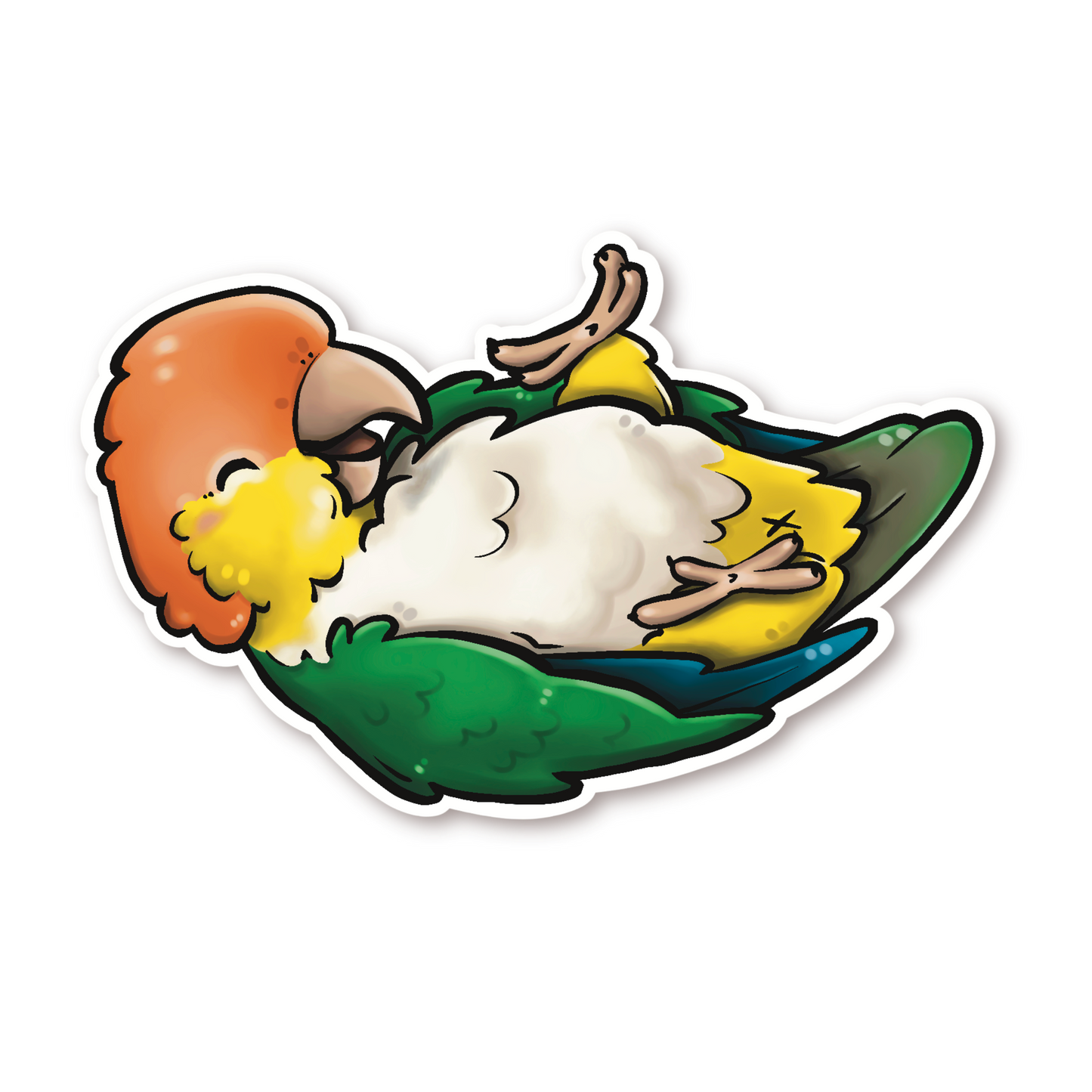 WHITE-BELLIED CAIQUE