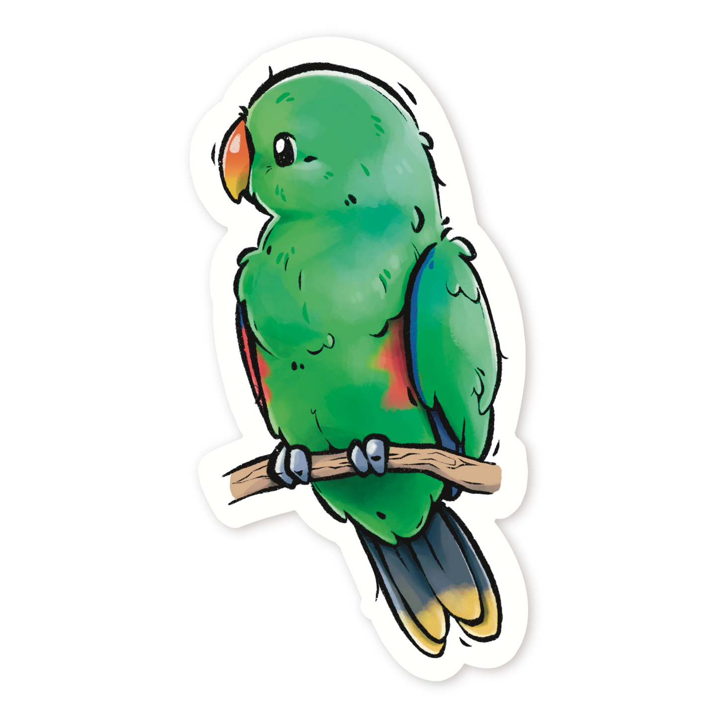 ECLECTUS - MALE