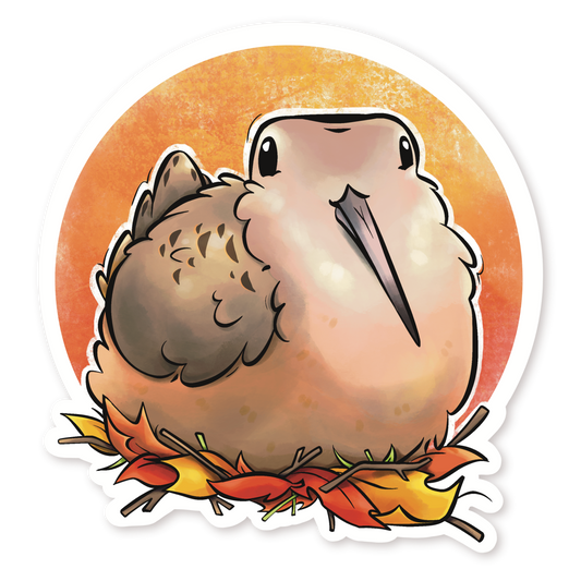 AMERICAN WOODCOCK