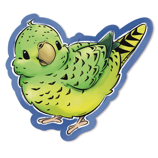 NIGHT PARROT