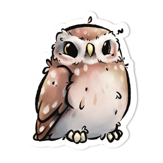 LITTLE OWL