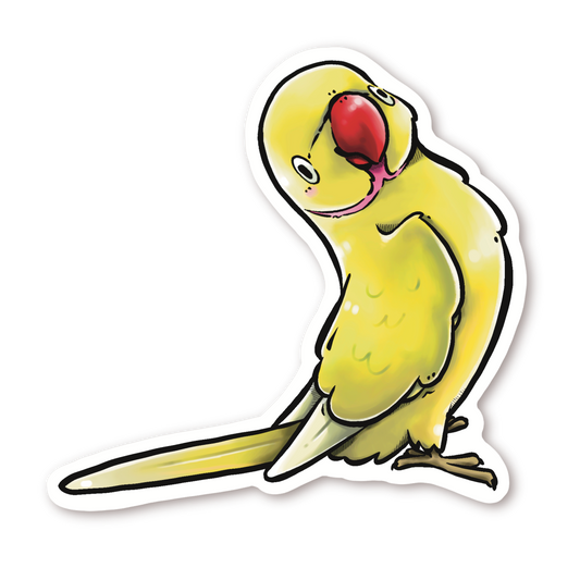 INDIAN RINGNECK - LUTINO