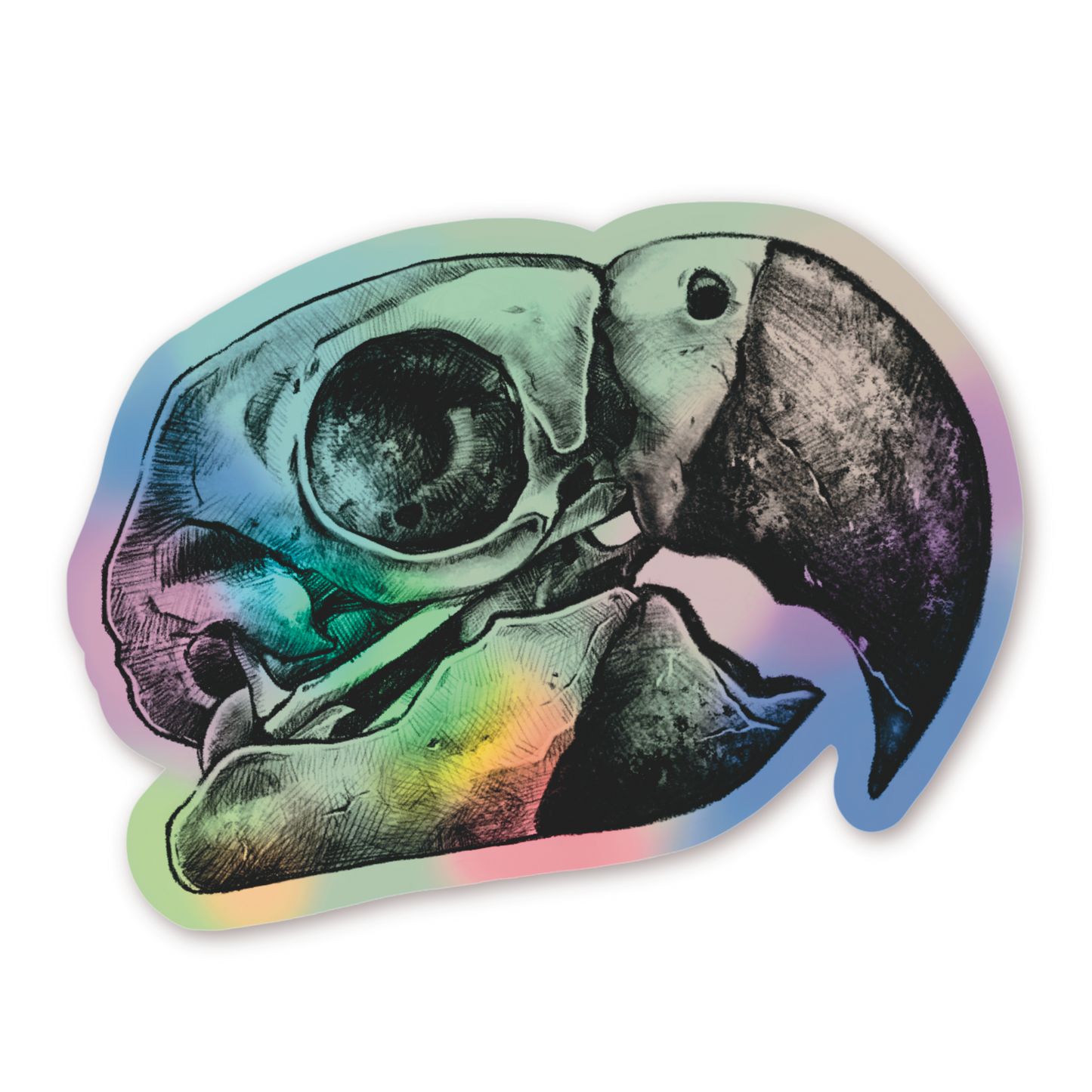 HOLOGRAPHIC MACAW SKULL