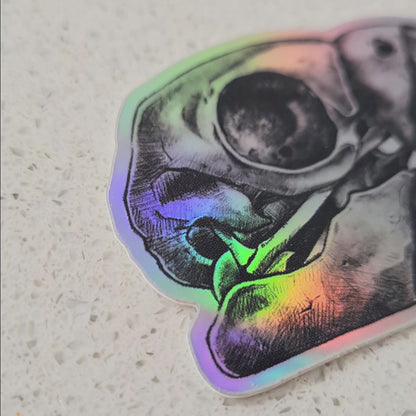 HOLOGRAPHIC MACAW SKULL